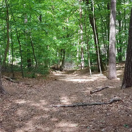 6 Person In Oksbol-by Traum Casa vacanze