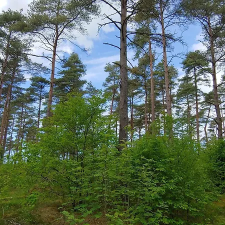 6 Person In Oksbol-by Traum Tatil Evi Oksbøl